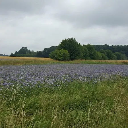 Hr Valkenburg * Billerbeck